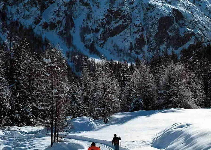 Отель Tavernier